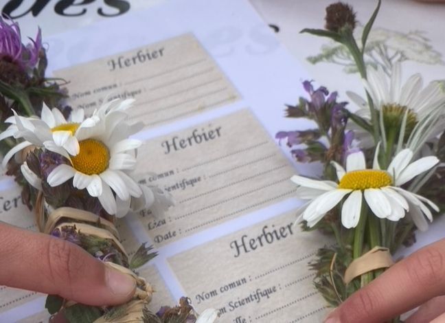 L'HERBIER DE MON ENFANCE - Samedi 4 juillet annulé