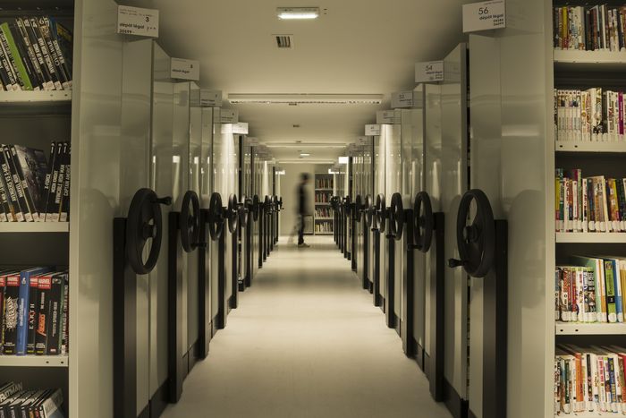 Visite commentée des réserves du musée