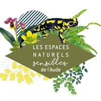 ENS - Prenons de la hauteur pour admirer les paysages !