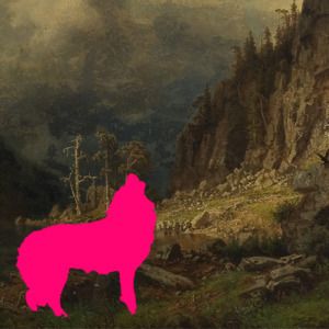 L’Appel de la forêt