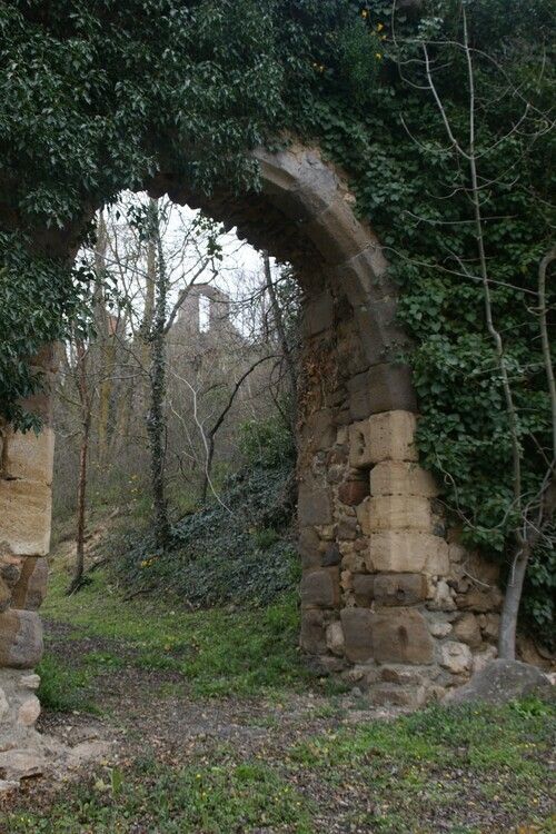 Découverte de la biodiversité autour de la Chapelle et du Château de Laroche