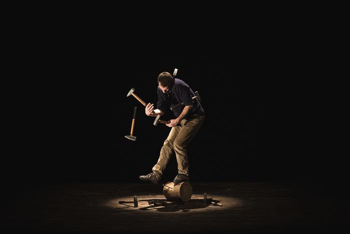 Sawdust Symphony – Cirque
