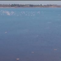 10ème édition de la Fête de l’étang à Saint-Nazaire