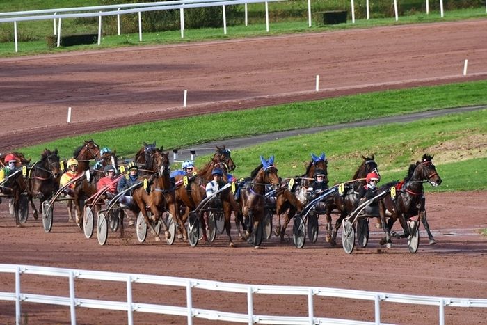 Journée de courses de trot à l’hippodrome