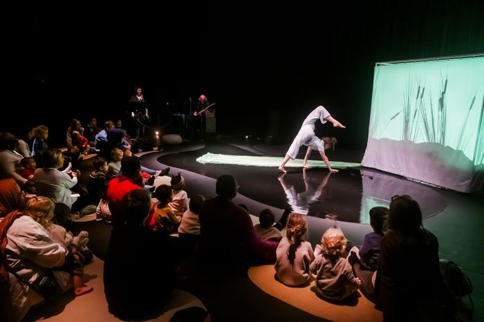 Proposition de spectacle pour le catalogue culturel du Loiret