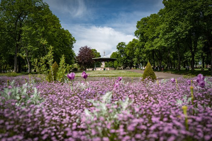 Visite commentée : A la découverte du parc Salengro, entre patrimoine culturel et naturel