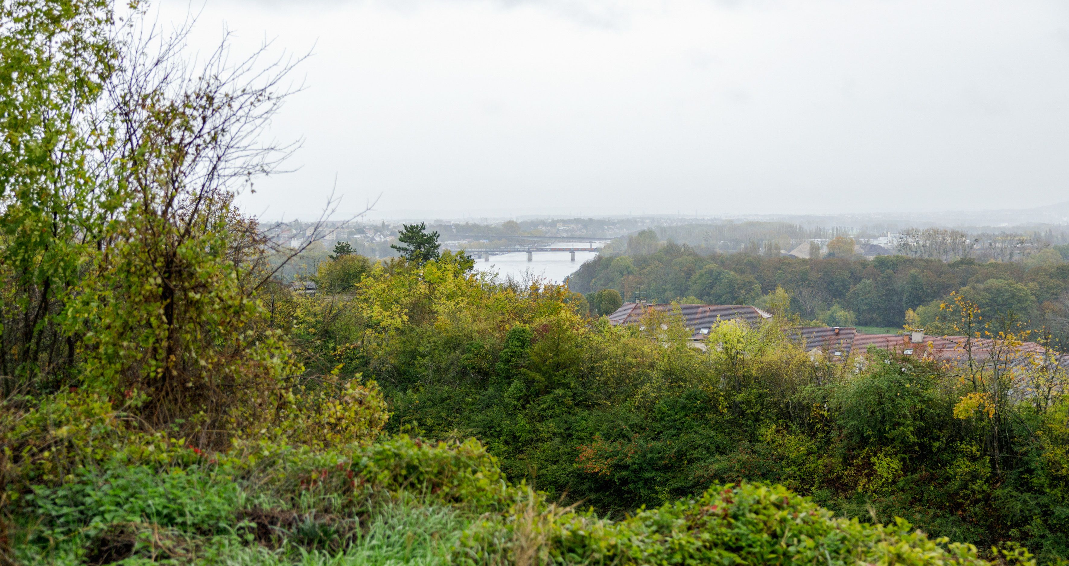 Une boucle d'Oise, entre ville nouvelle et colza