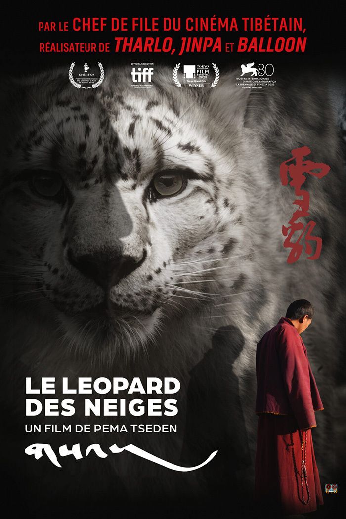 Le léopard des neiges