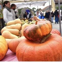 Atelier pas à pas -  Découpage des citrouilles pour le collège hanté