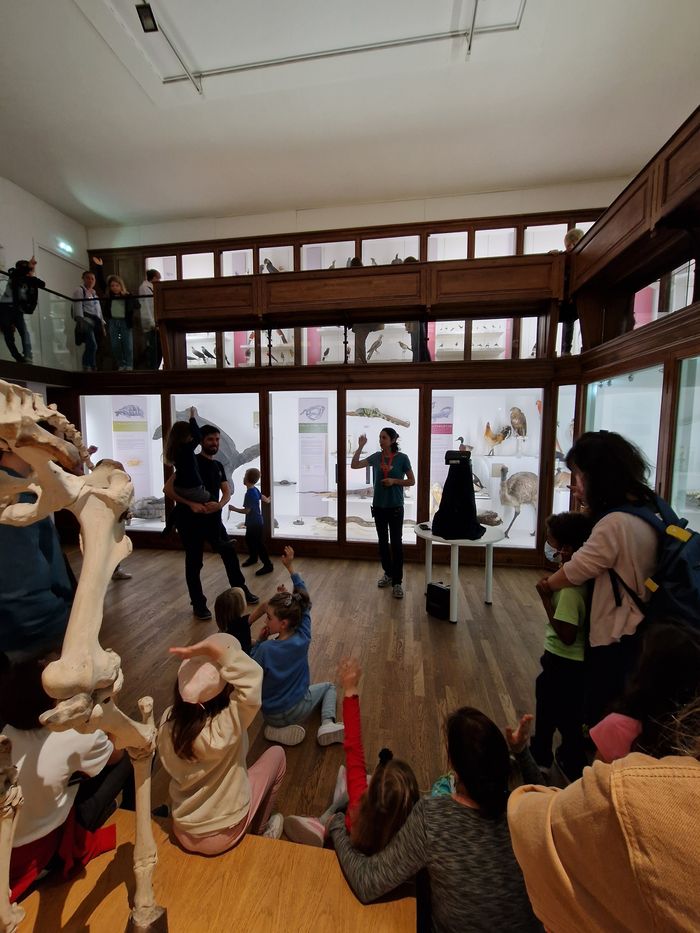 Ados : Dernière visite du Muséum