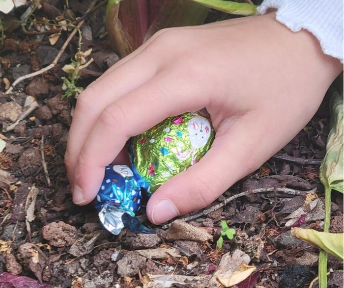 Chasse aux oeufs