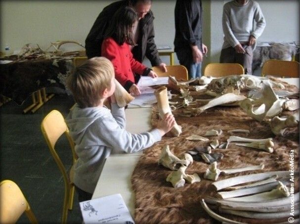 Atelier participatif : animaux et humains