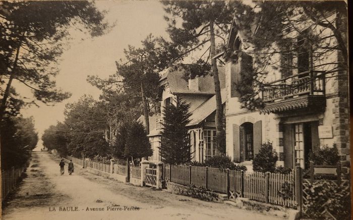 Balade commentée - Quartier des arbres