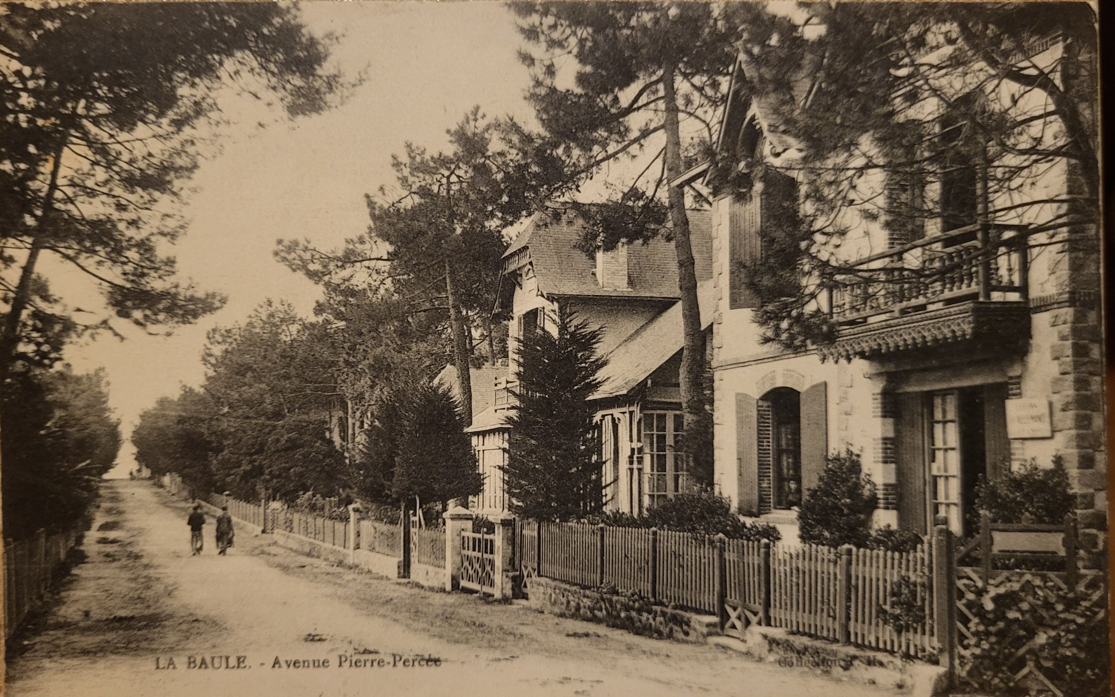 Balade commentée - Quartier des arbres