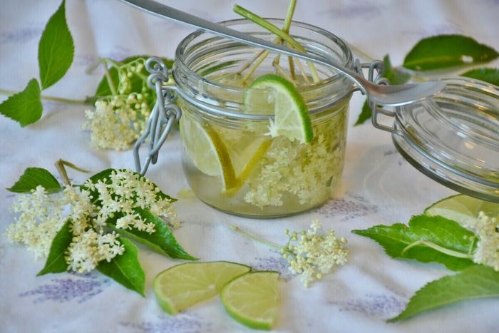 Kéfir, ginger beer, pétillants sauvages … Initiez-vous à la fermentation en réalisant de délicieuses boissons naturelles, peu sucrées et bénéfiques pour votre microbiote.