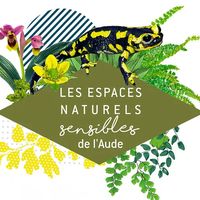 ENS- Le rôle vital des pollinisateurs