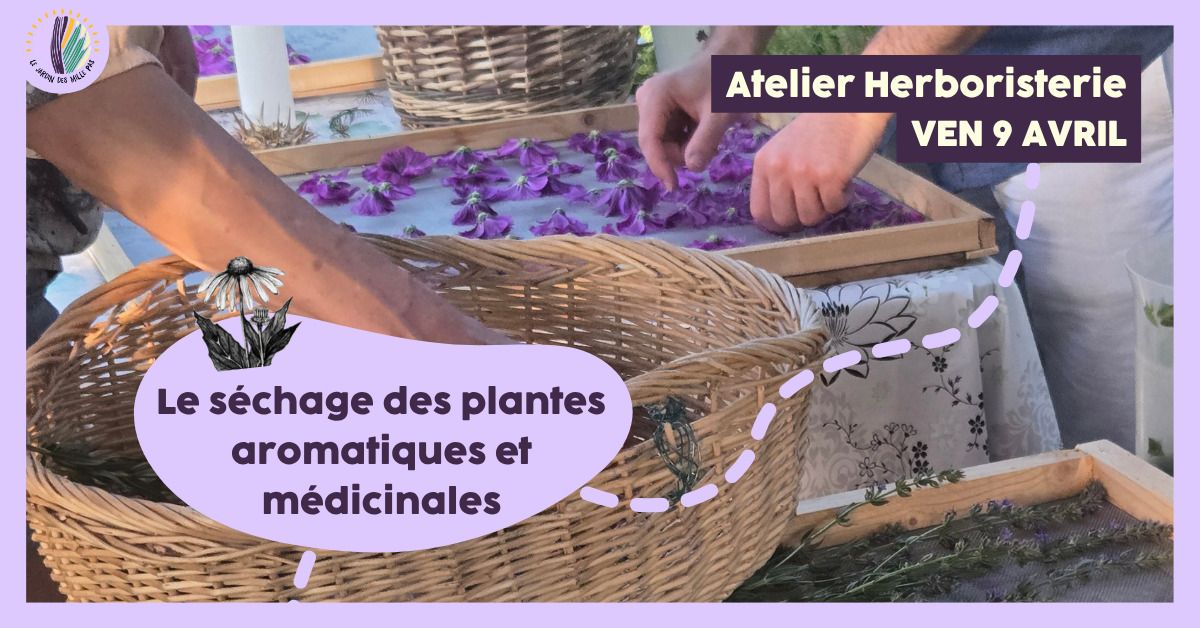 Atelier herboristerie : Le séchage des plantes aromatiques et médicinales