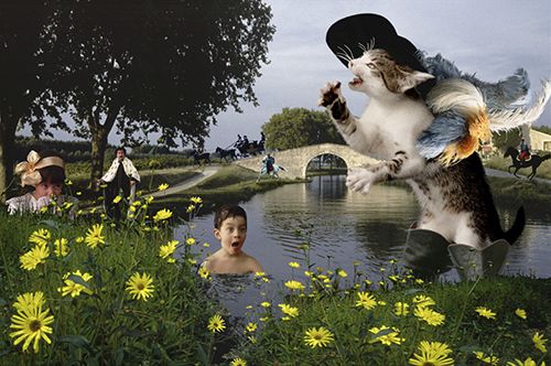 PLEIN LES YEUX !
Une histoire animale du livre photographique pour enfants