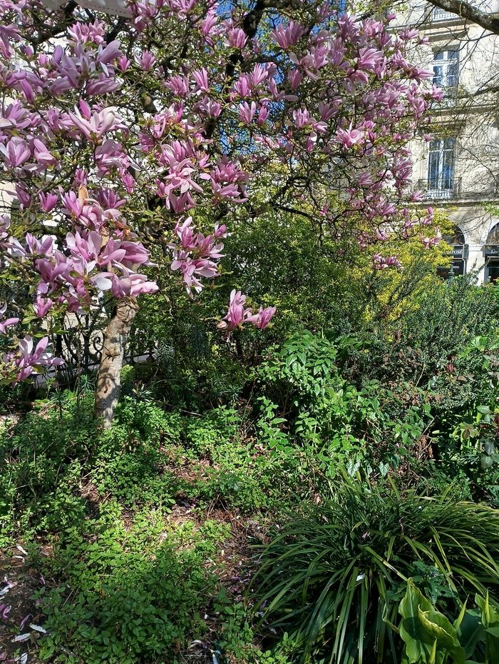 Balade des 5 jardins