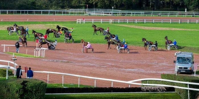 Courses hippiques : Trot