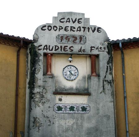 Conférence : une cave coopérative en fenouillèdes
