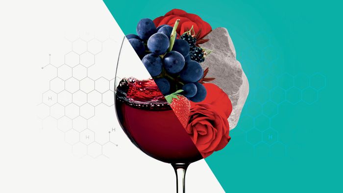 Oxygène : ami ou ennemi du vin ?