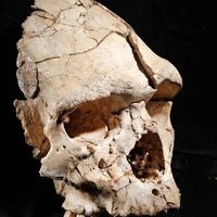 Conférences – Le gisement préhistorique de Tautavel et Les mines de Pioch-Farrus