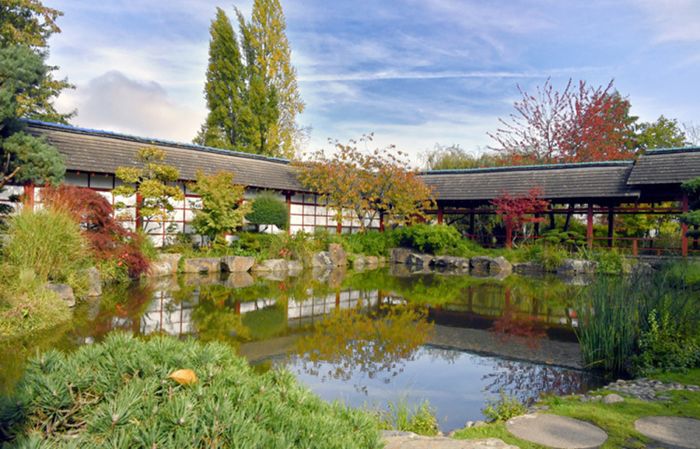 « Les mardis de l’été » : le jardin japonais