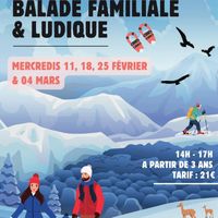 Sortie découverte faune et flore