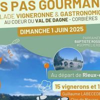 Balade vigneronne et gastronomique - Les pas gourmands