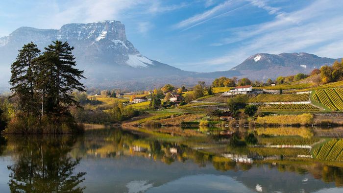 Afterwork : Vins de Savoie