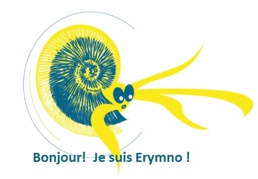 Visite atelier des 6-12 ans : sur les pas de l’ammonite