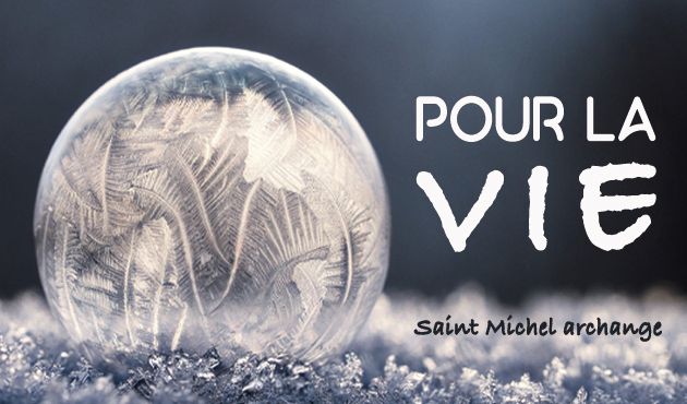 Pèlerinage pour la Vie