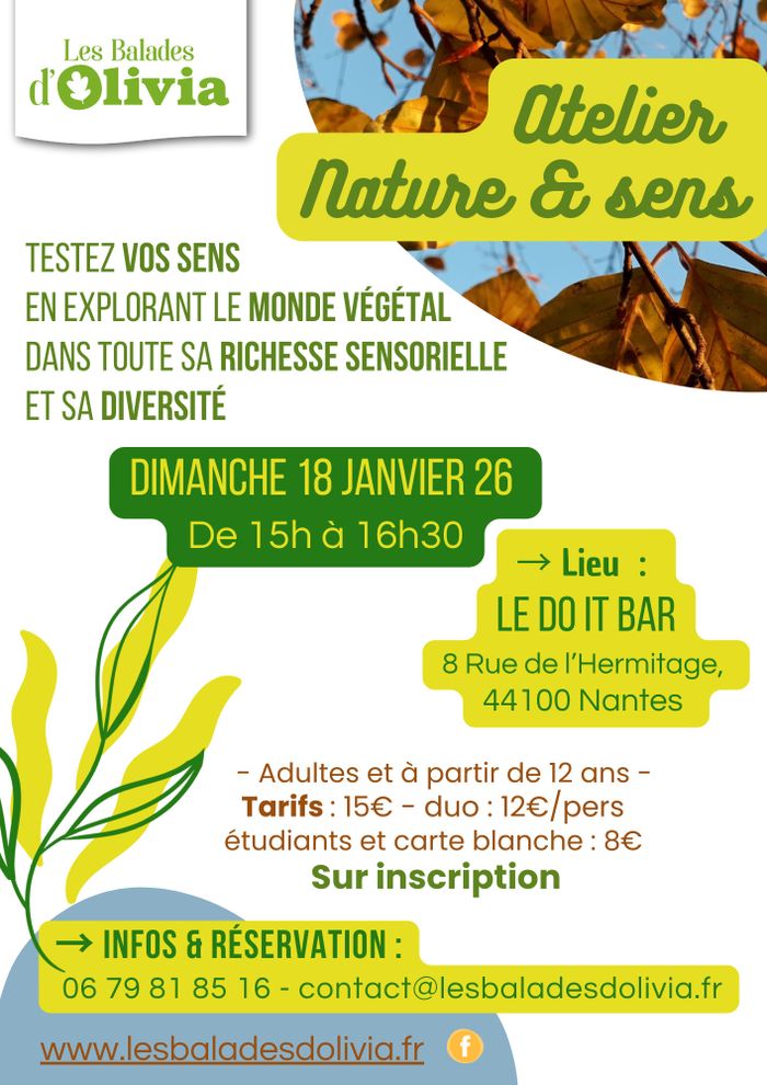 Atelier "Nature et sens" : La richesse du monde végétal à portée de sens