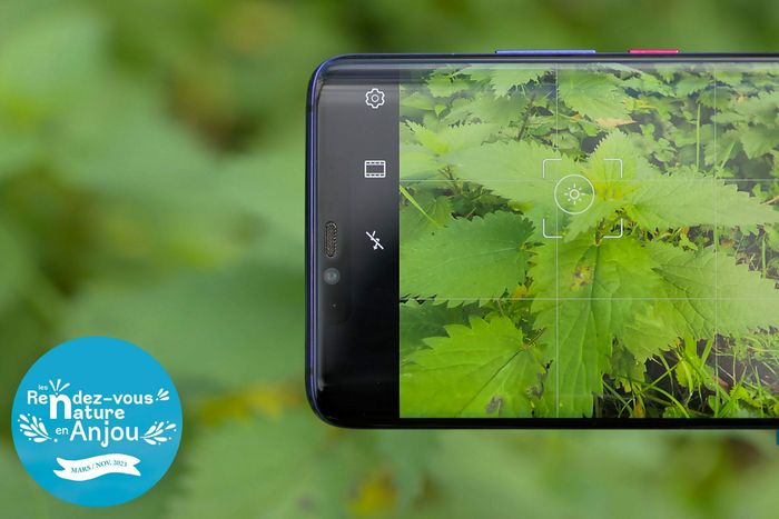 Smart’Plantouses