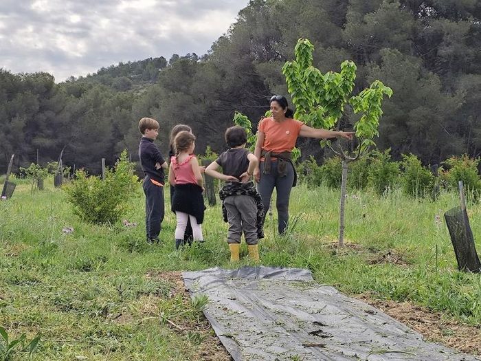 Cueillette de grenades à Martigues : Dégustation et récolte en famille