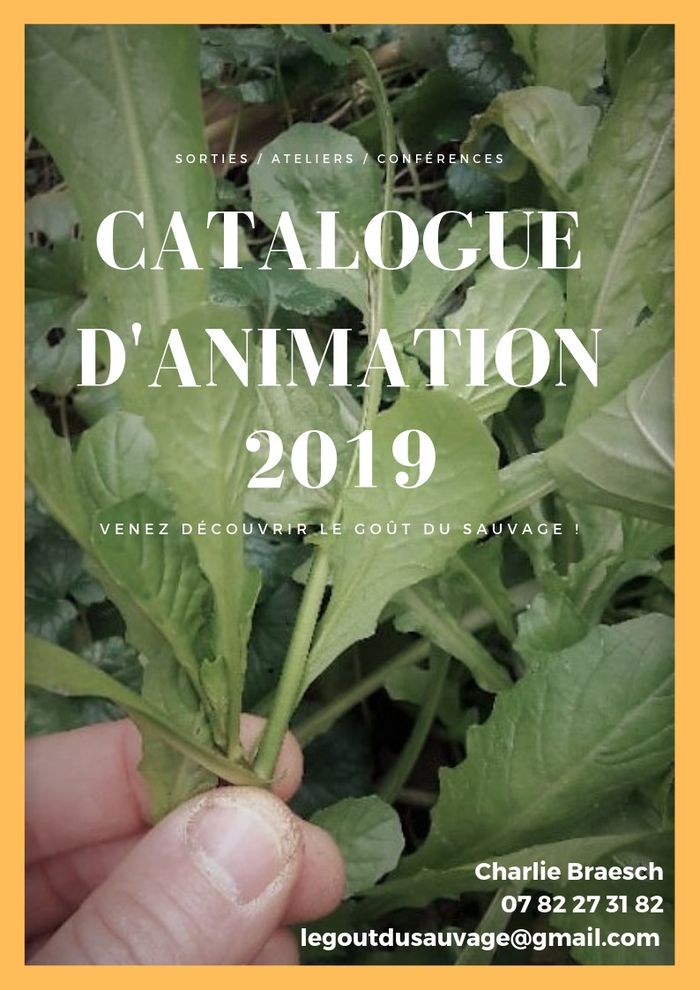 (ateliers découverte) Sorties Plantes mai à juin 2019