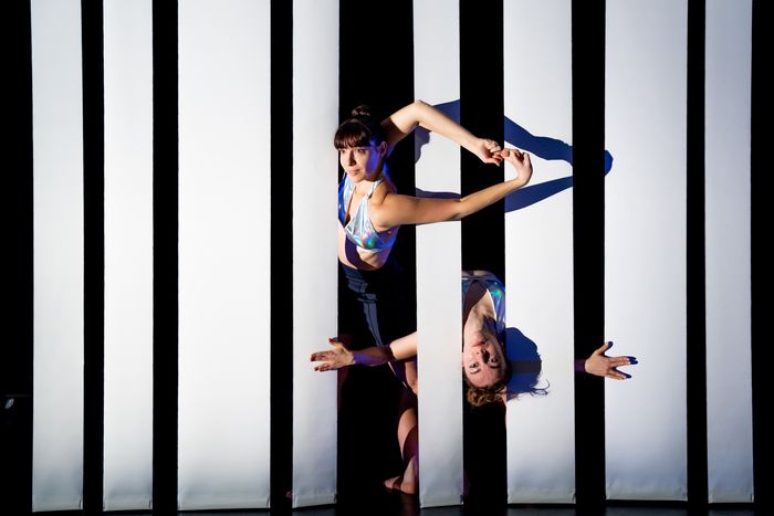 Proposition de spectacle pour le catalogue culturel du Loiret