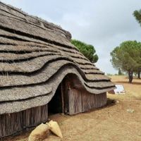 Conférence - " Comment circé devint magicienne? Femmes et savoirs rituels dans l'antiquité Gréco-romaine"