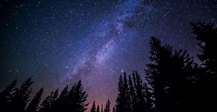 Voyage dans les étoiles chant de la nuit été