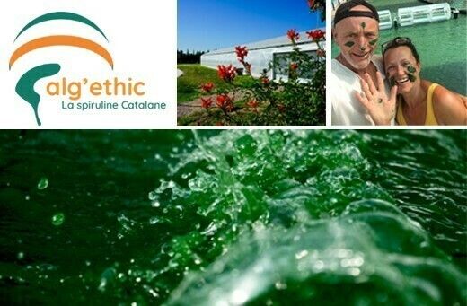 Découvrez le monde de la spiruline à Torreilles