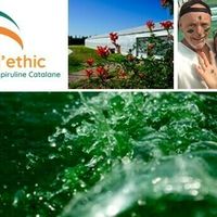Découvrez le monde de  la spiruline à Torreilles