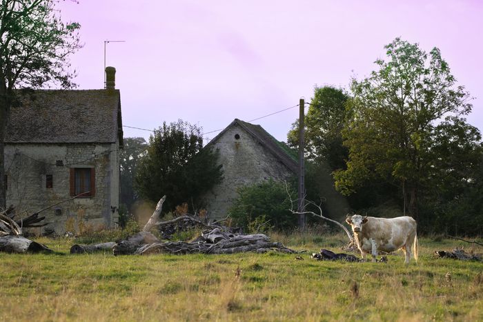 Exposition : patrimoine rural du Perche