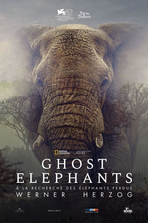 Ghost Elephants