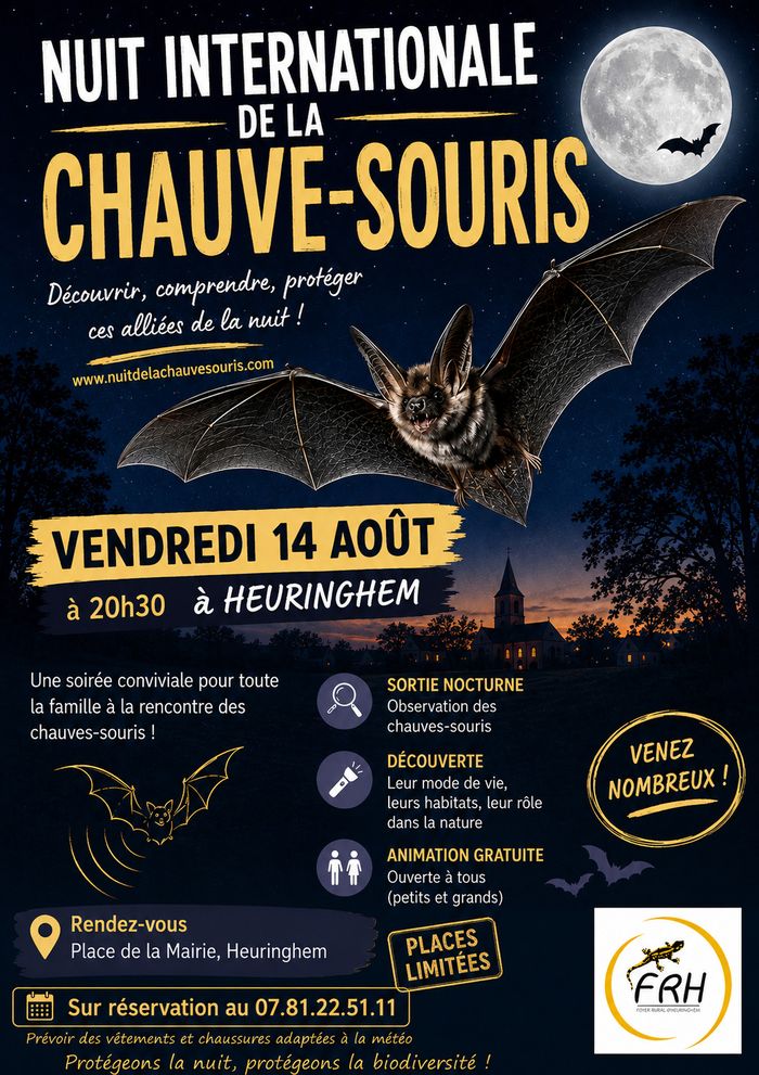 Nuit Internationale de la Chauve-souris à Heuringhem