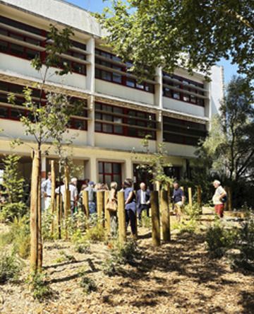 L’école Bisson, de la reconstruction à la cour oasis