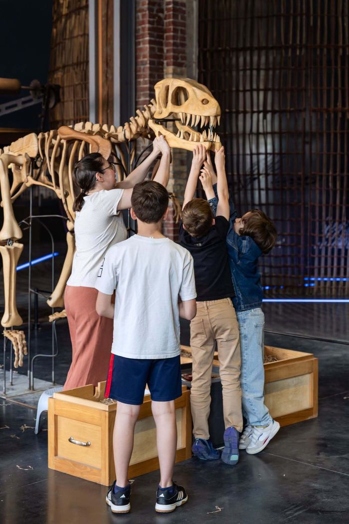 Atelier flash : squelette de dino à reconstituer