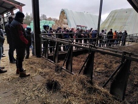 Valorisation de déchets verts et des haies de la ferme en litière plaquette bois