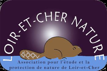 La Nuit de la chauve-souris