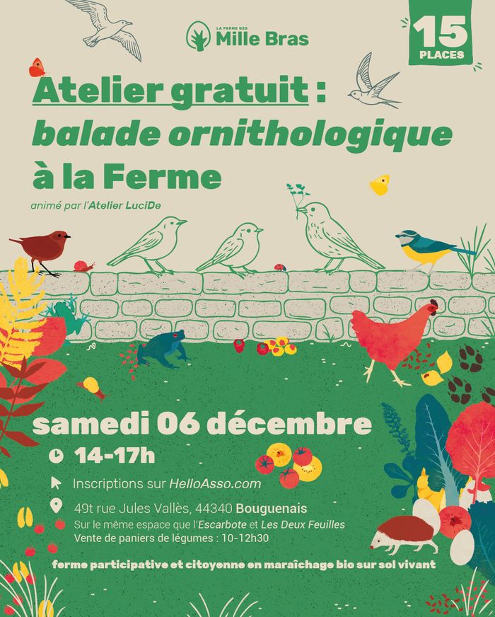 Balade ornithologique